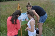 Plener Malarski 2013 (34)
