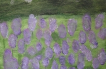 Oliwia Cajdler Martyna Wielgocka