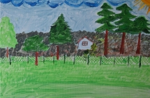 Genowefa Trzmielewska