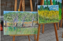 Plener Malarski 2013 (48)