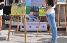 Plener Malarski 2013 (93)
